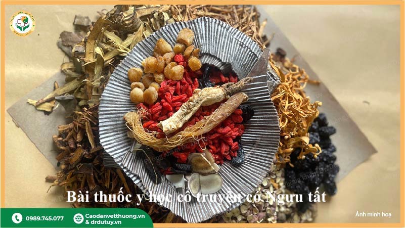 bài thuốc y học cổ truyền có ngưu tất
