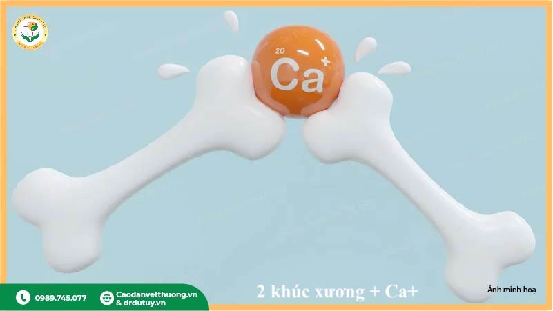 bổ sung canxi vitamin d cho xương khớp phụ nữ