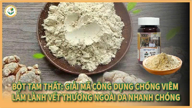 Bột Tam Thất: Giải mã công dụng chống viêm – làm lành vết thương ngoài da nhanh chóng