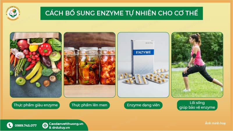 cách bổ sung enzyme tự nhiên