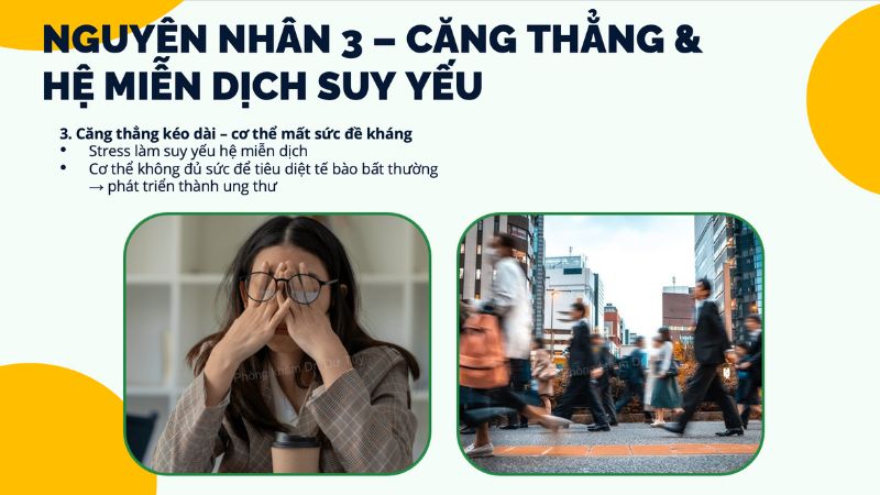 cách phòng chống ung thư