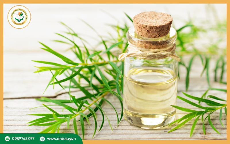Tinh dầu tràm trà