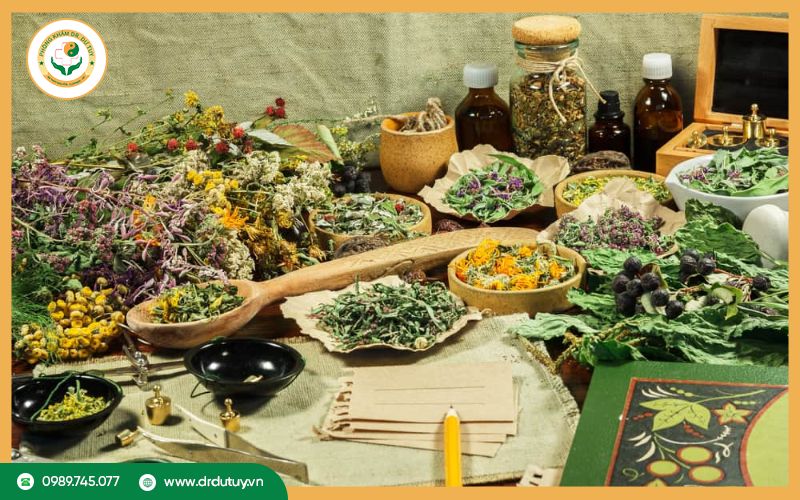 Nguồn gốc dược liệu rõ ràng