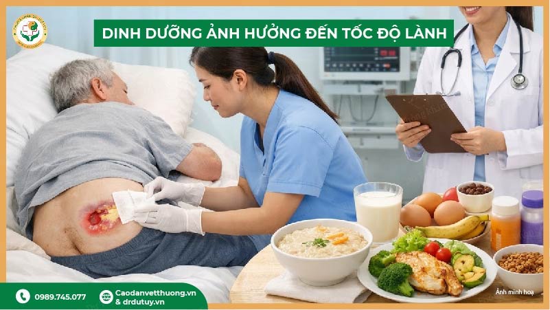dinh dưỡng ảnh hưởng đến tốc độ lành vết loét