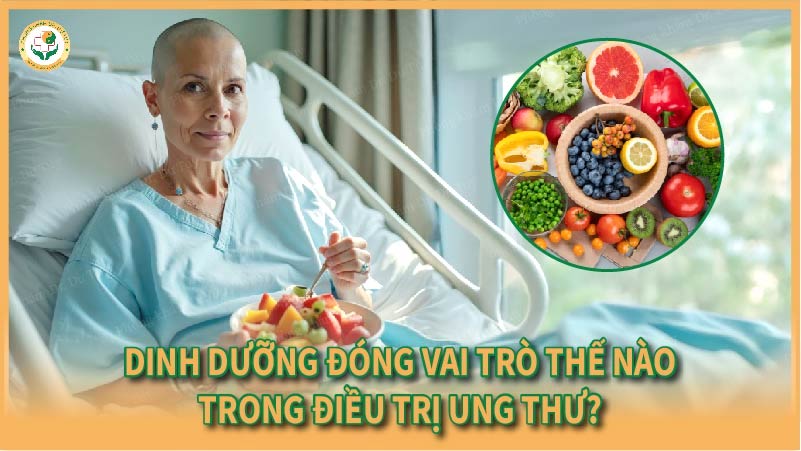 Dinh dưỡng đóng vai trò thế nào trong điều trị ung thư?