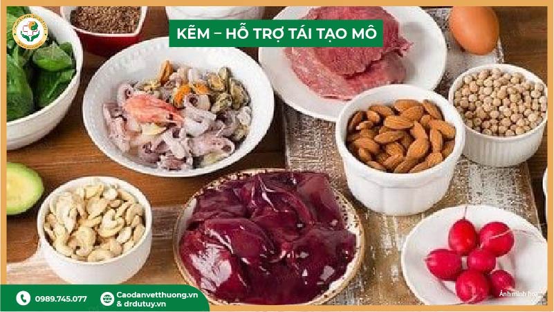 kẽm hỗ trợ tái tạo mô lành vết thương