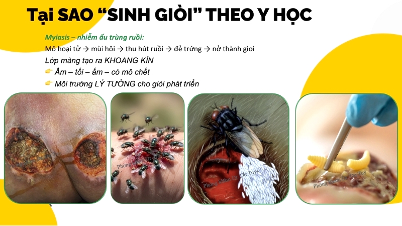 lạm dụng thuốc tạo màng che vết thương