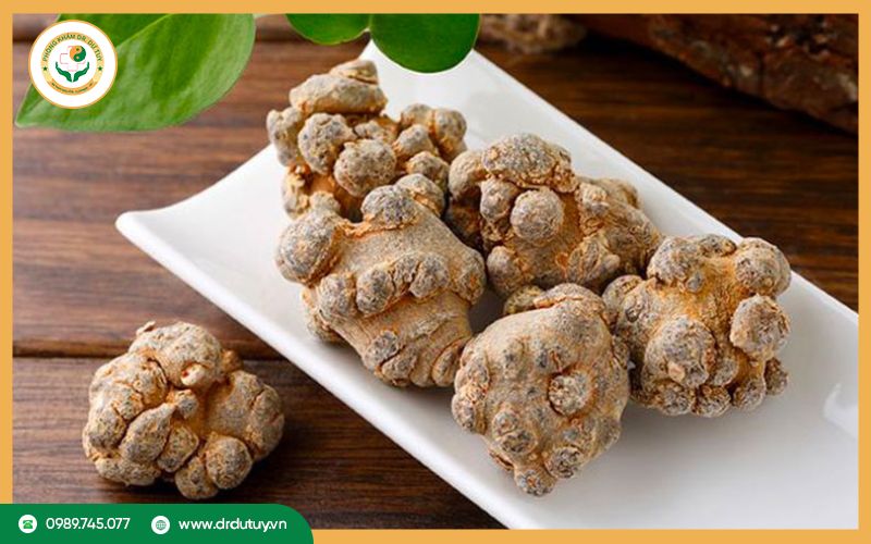 Tam thất bắc là gì?