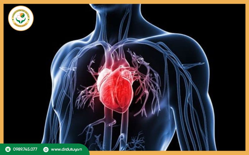 Tăng cường sức khỏe tim mạch