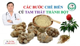 CÁC BƯỚC CHẾ BIẾN CỦ TAM THẤT THÀNH BỘT