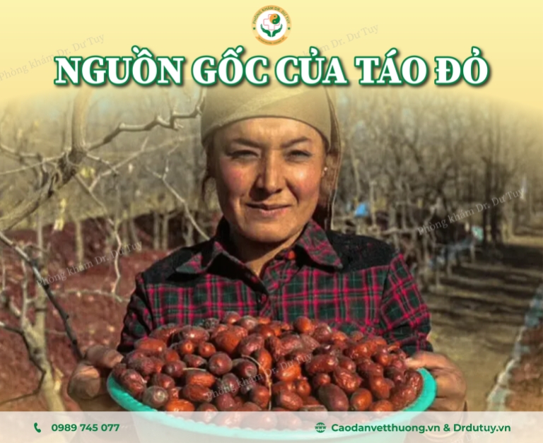 Táo đỏ có nguồn gốc từ đâu?
