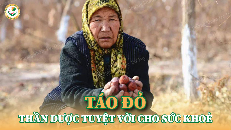 Táo đỏ - Thần dược tuyệt vời cho sức khoẻ