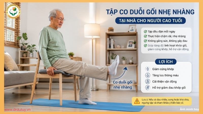 tập co duỗi gối nhẹ nhàng tại nhà cho người cao tuổi