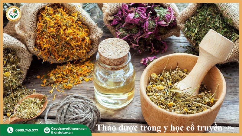 thành phần an cung ngưu hoàng hoàn có nguy hiểm không