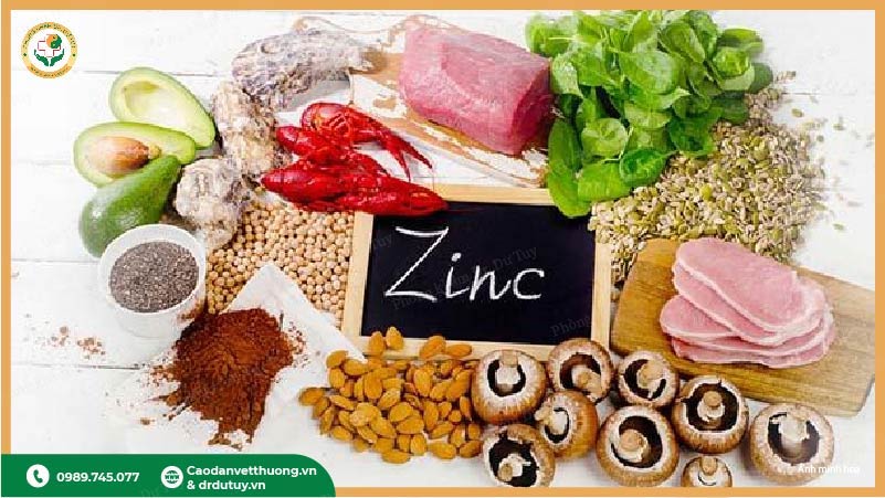 thực phẩm giàu kẽm giúp lành vết thương