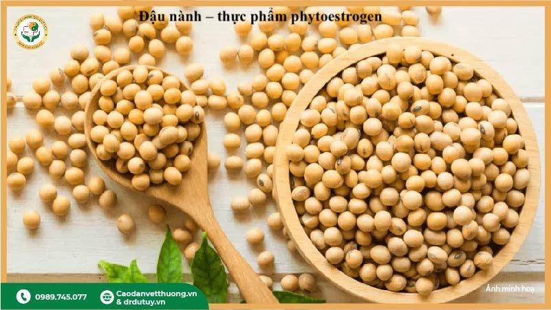 thục phẩm giàu phytoestrogen đậu nành