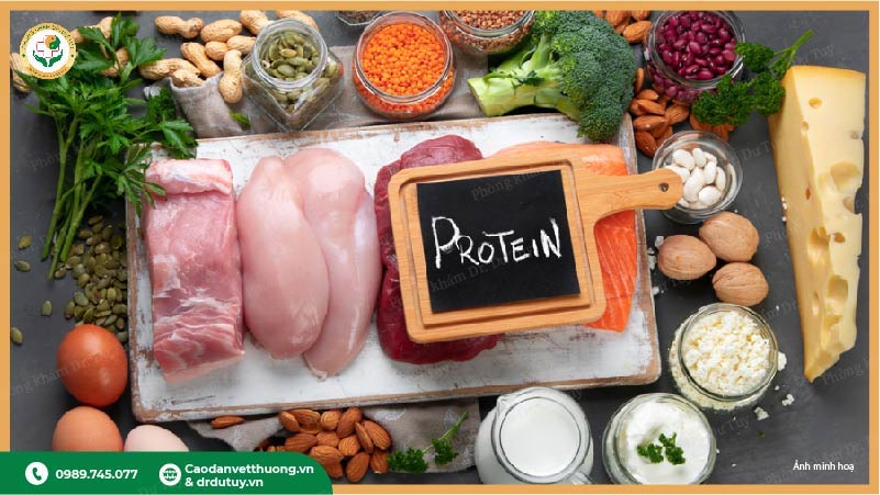 thực phẩm giàu protein cho vết thương