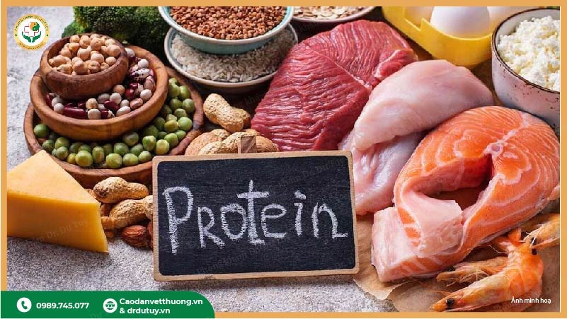 thực phẩm giàu protein giúp lành vết thương