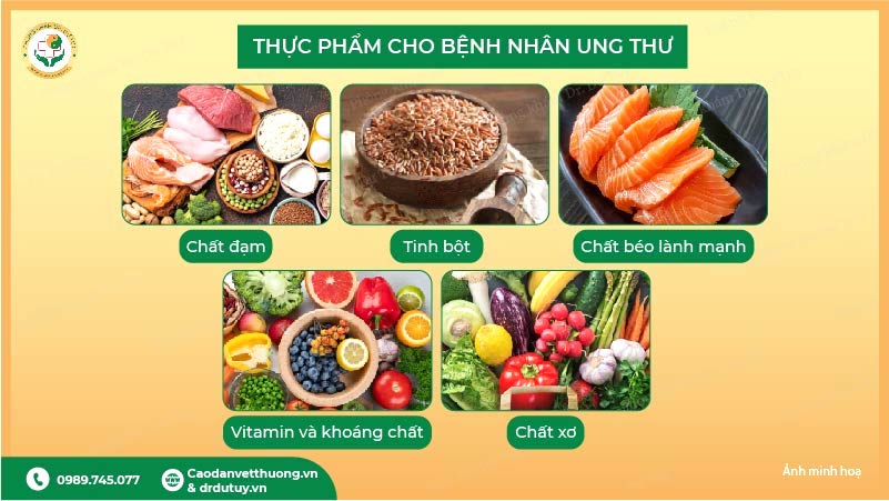 thực phẩm tốt cho bệnh nhân ung thư chất đạm chất xơ vitamin