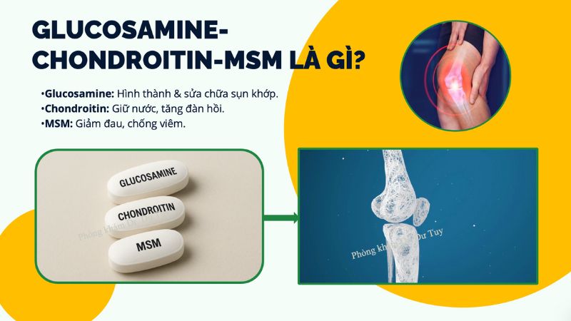 thuốc bổ khớp