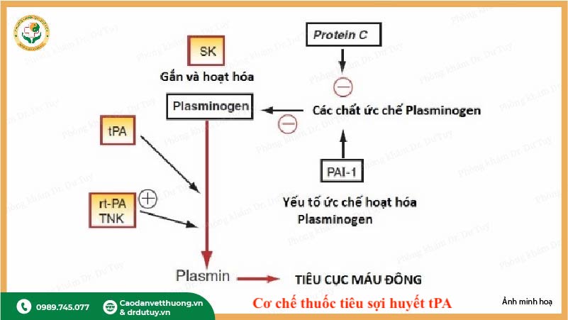 thuốc tiêu sợi huyết TPA