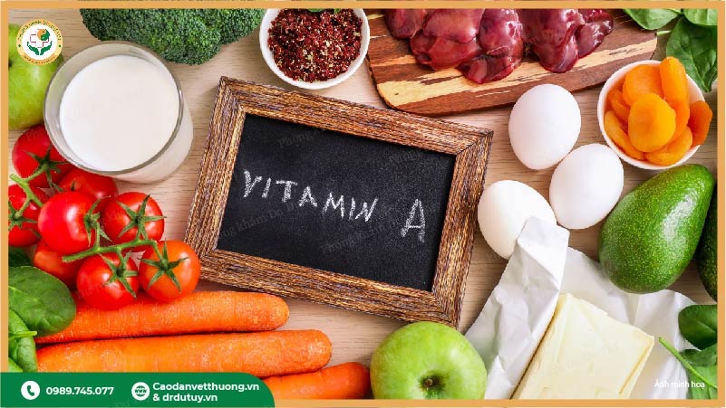 vitamin a cho vết thương